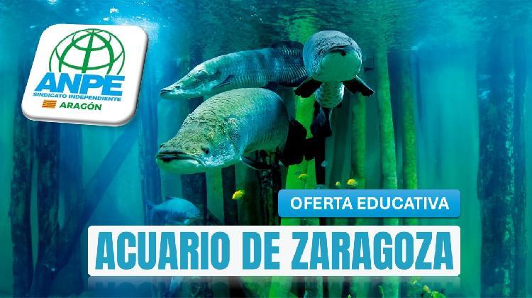 acuariodezaragoza