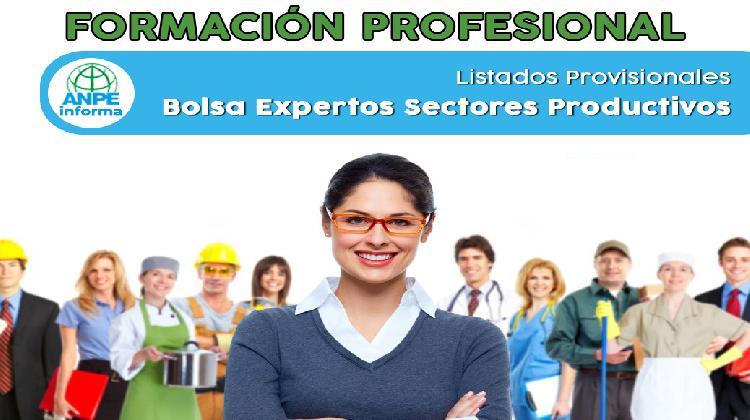 fp_bolsa_expertos_sectores_productivos