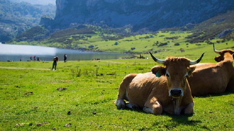 parque-nacional-de-los-picos-de-europa