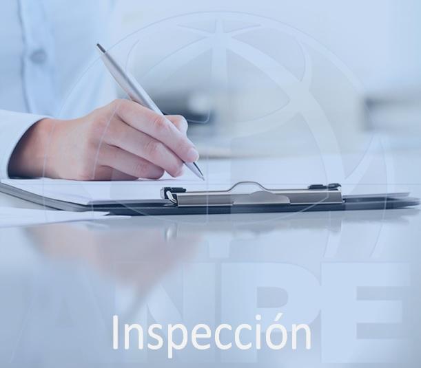 inspeccion